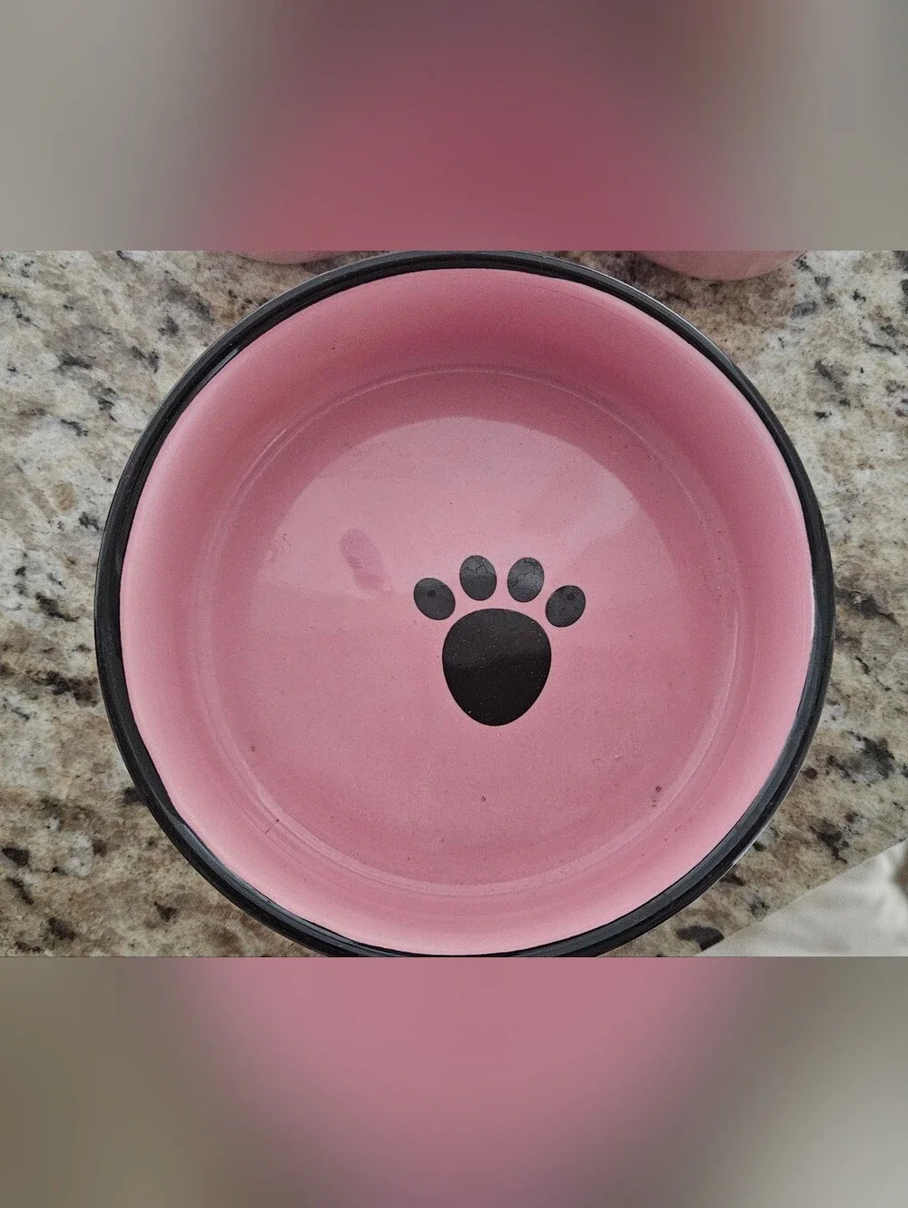 ​Pink Ceramic Dog Bowl Bundle: Top Paw & Blue Harbor Collection